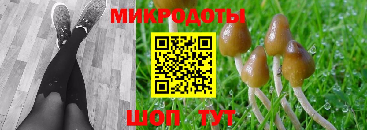 Галлюциногенные грибы MAGIC MUSHROOMS  Вход с VPN  Мценск  Галлюциногенные грибы мухоморы 